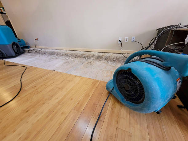 Professional Flood Damage Cleanup technician working in Tremont, MS